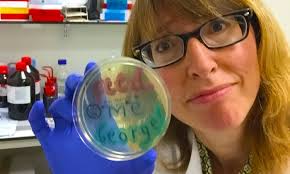 Postcards from the edge of disaster for UK science