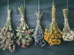 Maybe you would like to learn more about one of these? Embracing Sustainability With Dried Flowers