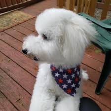 Wagging tails pet resort reviews. Wagging Tails Pet Resort And Spaw 10 Reviews Pet Groomers 802 Bound Line Rd Wolcott Ct Phone Number Yelp