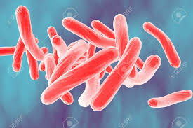 A microbial biorealm page on the genus escherichia coli. Bacterien Microscopische Mening Van De Bacterie Mycobacterium Tuberculosis Op Kleurrijke Achtergrond Het Model Van De Bacterien Realistische Afbeelding Van Microben Micro Organismen Bacterie Die Tuberculose Veroorzaakt Royalty Vrije Foto Plaatjes