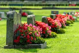 Die beliebtesten blumen für den friedhof & das grab im überblick. Grabbepflanzung Im Sommer Geeignete Blumen Pflege