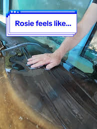 Image result for Wild Rose 1999 Tiburon