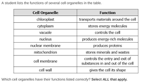 This process is known as cellular respiration. 37 Points Help Asap Which Cell Organelles Have Their Functions Listed Correctly Brainly Com