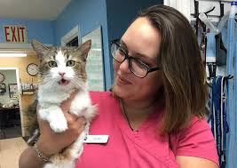 Maybe you would like to learn more about one of these? Kindness Animal Hospital Port St Lucie Veterinarians