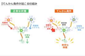 猫のてんかんとは？原因や症状に加えて発作が起きた時の対処法も解説【獣医師監修】 | ＃HugQ（ハッシュハグ）