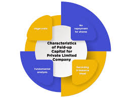 It is a amount of money for which shares of the company were issued to the shareholders and payment was made by the with the companies amendment act 2015, there is no minimum requirement of paid up capital of the company. Minimum Paid Up Capital For Private Limited Company Swarit Advisors