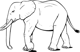 Free printable coloring pages for kids and adults. Realistic Elephant Coloring Pages Bestappsforkids Com
