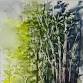 Intro to Watercolor: Birch on a Hill