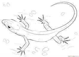 How To Draw A Realistic Lizard Step By Step Drawing Tutorials Drawing Tutorial Snake Drawing Realistic Drawings