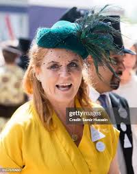 1,638 Sarah Feathers Stock Photos, High-Res Pictures, and Images