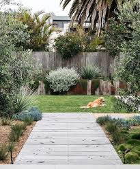The Brand New Look Aussie Yard Native Plant Mission Backyard Landscaping Australian Natives Th Australian Garden Native Garden Australian Garden Design