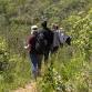 Delheim Fynbos Walk with Rupert Koopman event image
