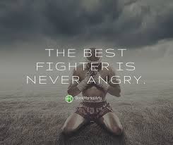 The most inspirational military quotes from the most famous leaders. Top 10 Motivational Quotes For Martial Artists Bookmartialarts Com