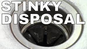 Here are a few easy ways to clean your disposal Garbage Disposal How To Clean Fast Simple Trick Ice Youtube