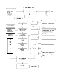 Image result for Stroke Pathophysiology