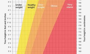 50 prototypical nhs bmi chart women