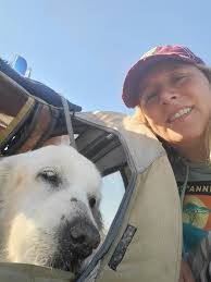 Hiking with a dog and its owner