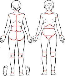 The wikimedia human body diagrams is a collection of images whose main purpose is to provide a way of explaining medical conditions and other phenomena. Pain Drawing Of A Female Body The Pain Location Area Borders Were Not Download Scientific Diagram