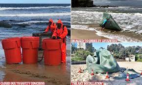 Newcastle Drum Washes Up On Beach Hours After Another Was Pulled From The Ocean In Sydney S Coogee Daily Mail Online