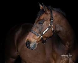 Marci Ryan Photography (@marciryan) • Instagram photos and videos