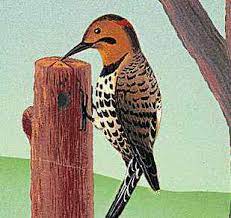 Alabama Flag Facts Maps Capital Cities Attractions Britannica