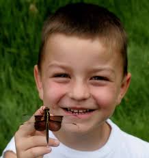 Natural Areas Master Plan Executive Summary