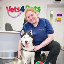 Vets4Pets - Belfast
