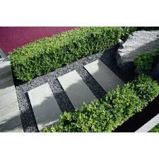 Crushed Stone With Concrete Steppers Modern Garden Lawn And Garden Garden Of Earthly Delights