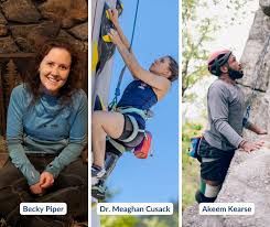 Image result for Berkheya spekeana