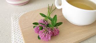 Wir haben 5 tipps, was du gegen deine innere unruhe machen kannst: Tees Fur Die Wechseljahre Naturliche Helfer Bei Beschwerden