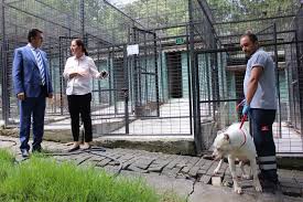 Turkiye Nin Ilk Kedi Tedavi Merkezi Osmangazi De Bursa Com