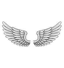 1.5 wings of a bat. Tattoo Wings Vector Images Over 29 000