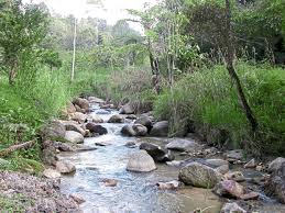 Tuesday, 30 jun 2020 11:51 pm myt. Securing Our Water Supply The Star
