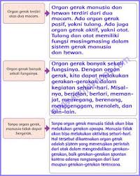 Kunci jawaban tema 1 kelas 5 halaman 117. Kunci Jawaban Buku Tema 1 Kelas 5 Halaman 5 Buku Sekolah Dasar Kurikulum