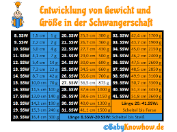 27 Ssw Entwicklung Grosse Im Bauch Ultraschall Video