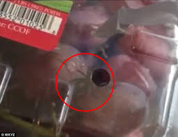 Now you can have your very own pet black widow! Michigan Woman Finds A Black Widow Spider In Walmart Grapes Daily Mail Online