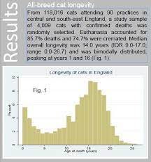 Longevity Causes Of Death In Pet Cats The Skeptvet