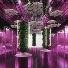 The furniture retailer just unveiled its new krydda/växer hydroponic garden, which allows anyone to easily grow fresh produce at home. Ikea And Tom Dixon To Unveil Gardening Will Save The World At Chelsea Flower Show