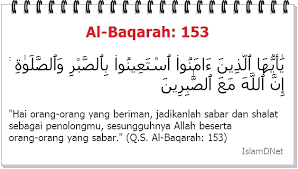 Dalam buku tentang 'sabar dan syukur bikin hidup lebih bahagia oleh yunus hanis syam disebutkan ada beberapa ayat di dalam al quran yang menjelaskan soal keutamaan sabar. Ayat Al Quran Tentang Sabar Dan Shalat Ourjourneychurch Net