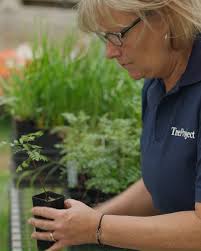 TreeProject formed in 1989 when two friends decided to protect Victoria’s  ecosystems by planting 1 million trees. Since then, TreeProject's network  of trained volunteers have grown 2 million ...