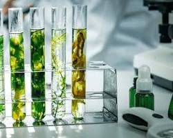 highend sustainable skincare aesthetic glass bottles with botanical ingredients and scientific lab elements 2026 beauty trends luxury photography, AI generated