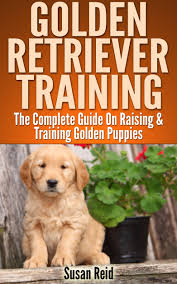 Golden Retriever Training Breed Specific Puppy Training Techniques Potty Training Discip Golden Retriever Training Golden Retriever Puppy Training Retriever