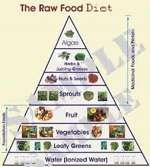 Organic Raw Food Nutrition