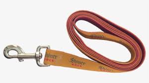 Download Flexi Dog Leash Blue Hd Png Download Kindpng
