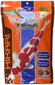 On the southeastern shore of amber island and on starlight island. What Do Koi Fish Eat Feed Your Koi Treats What To Feed Koi Fish