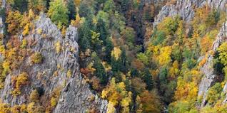 Treseburg lies at the confluence of the luppbode stream with the river bode in the bode gorge, southwest of thale, at an average height of 270 m above nn. Von Thale Ums Bodetal Herum Nach Treseburg Wanderung Outdooractive Com