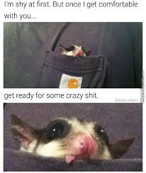 I Can Be Your Angle Or Yuor Devil By 2manymemes Meme Center