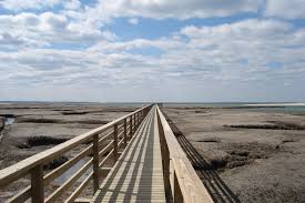 Maybe you would like to learn more about one of these? 5 Things To Do On A Cape Cod Camping Trip Rv Life