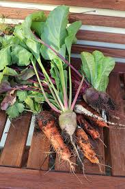 Maybe you would like to learn more about one of these? Overwintering