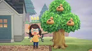 Animal Crossing New Horizons How To Grow A Money Tree Animal Crossing Money Trees Animals